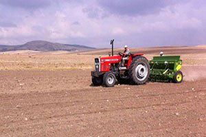 Sertifikalı Tohum Desteği İcmalleri Askıya Çıkarıldı