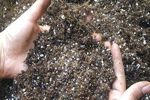 Seydişehir`de Çiftçilere Gübreleme Eğitimi