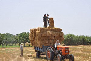 KDV İndirimi Çiftçiye Yansımadı