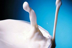 Süt Ürünleri İhracatına Destek Yolda