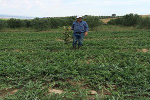 Tunceli`de Tarım Danışmanlarına Eğitim