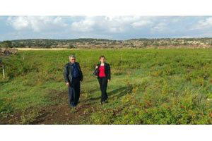 Tarla Faresiyle Mücadelede Önemli Uyarılar