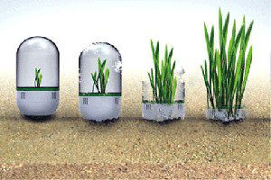 Bakan Çelik, Tohumculuk Sektörü Temsilcileriyle Görüştü