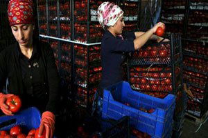 Rusya Krizinin Maliyeti 11 Milyar Doları Geçecek