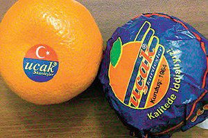 `Uçak Mandalina` Rusya`dan Döndü