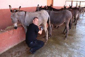 Uyanık Girişimci Eşek Sütüyle Paraya Para Demiyor