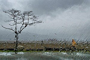 Beyşehir`de Yağışlar Yüzleri Güldürdü