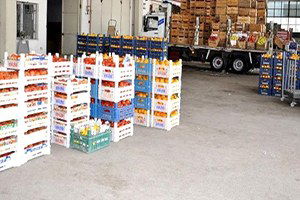 Malatya`da 2015 Yılında 123 Bin Ton Meyve ve Sebze Tüketildi