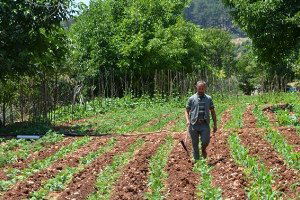 Bilecik`te `Organik, İyi Tarım ve Gıda Hijyen` Eğitimi
