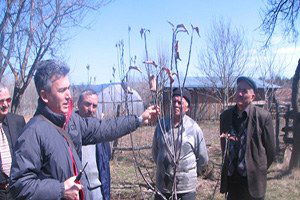 Sinop`ta Çiftçilere Budama Eğitimi Verildi