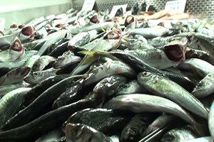 Türkiye 700 Milyon Dolarlık Su Ürünü İhraç Etti