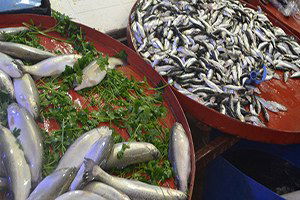 Balık Fiyatları Altınla Yarışıyor