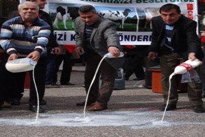 Balıkesir`de Süt Eylemi
