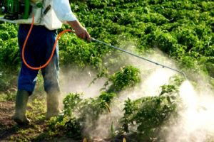 Bilecik`te `Pestisit` Denetimi