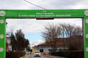 Bolu`da Tüberkülozlu Hayvan Etinin Piyasaya Sürüldüğü İddiasına Soruşturma