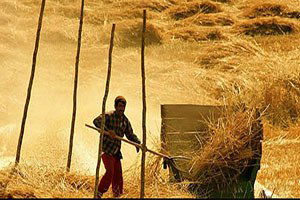 Çiftçilere İşletme Desteği