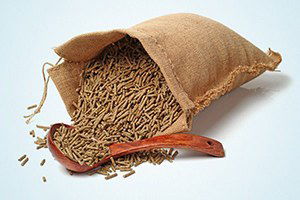 Et ve Süt Veriminde Çikolata Etkisi