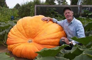 Bir Meyve En Fazla Ne Kadar Büyür?