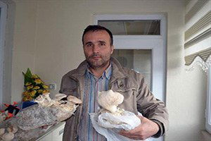 Evinin Odasında Doğal Mantar Yetiştiriyor