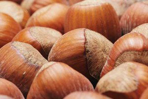 Fındık 9 Liraya Düşmesi