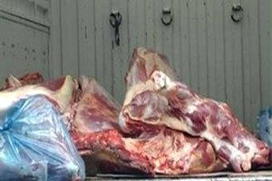 Kayseri`de 2 Ton Kaçak Et Yakalandı