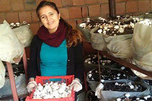 Kültür Mantarıyla Hayatını Kurtardı