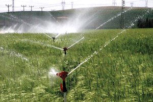 Kuraklık, Çiftçinin Belini Büktü