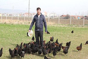 Organik Yumurtaya Büyük İlgi