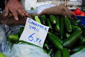 Salatalığın Fiyatı Pazarda 6 Lirayı Buldu