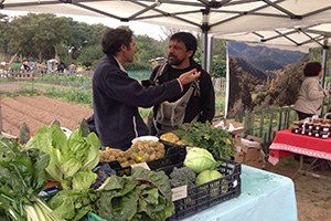 Sevilla`da Bir Kent Bahçesi