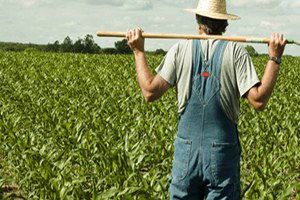 Sinop`ta Çiftçiler Bilgilendirildi