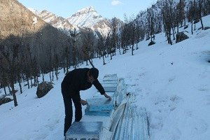 Soğuklara Dayanamayan Arılar Telef Oldu