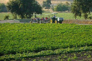 Tarımsal Aile İşletmelerine Yapılacak Desteklemeler