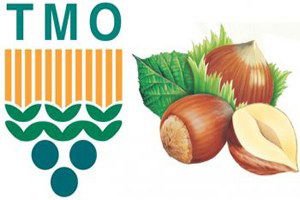 Ziraat Odaları TMO`nun Fındık Alımı Yapmasını İstiyor