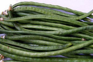 Türkiye`nin Taze Börülce Kralı: `Muğla`