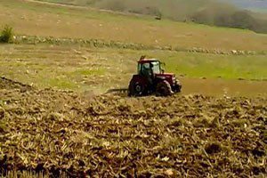 Yozgat`ta 2 Milyon Dekar Nadas Alanı Bulunmaktadır