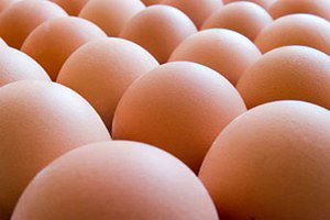 Yumurta Üretiminde Rekor