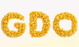 GDO Yeni Bir Versiyonla Avrupa`ya Girmeye Hazırlanıyor