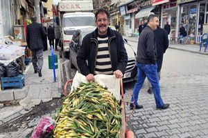 Baharın Müjdecisi Çiriş Tezgahlarda Yerini Aldı