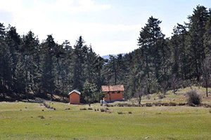 Bakan Çelik`ten Bursa`nın Kırsal Kalkınma Projelerine Destek