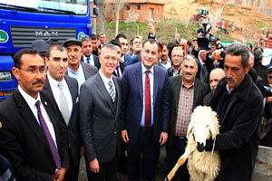 Çankaya Belediyesi, Köylülelere Koyun ve Koç Dağıttı