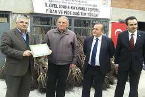Çiftçilere Ceviz Fidanı Dağıtıldı