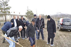 Dap Destekli Meyvecilik Bölgede Hız Kazanıyor