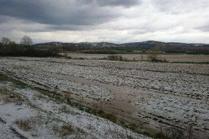 Edirne`de Yağan Dolu Tarım Arazilerine Zarar Verdi