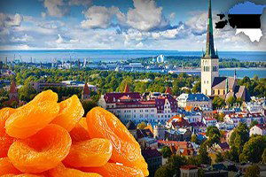 Türkiye`den Estonya`ya Kuru Kayısı