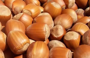 `Fındığı Da Çay Gibi İşleyip Satalım`