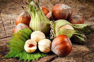 Fındık İçin Destek Başvurusu 1 Nisan`da Sona Eriyor