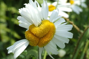 30 Yıl Oldu İzleri Silinmedi