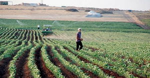 Karadağ`ın Sancak Bölgesinde Sürdürülebilir Tarım Projeleri Devam Ediyor