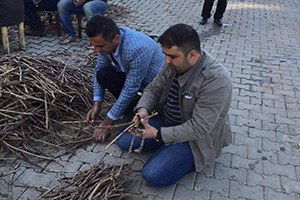 Gercüş Üzümünün Çeşitliliği Araştırılacak